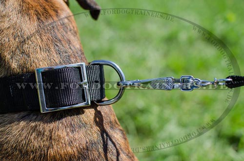 Halsband für Boxer mit runden Platten