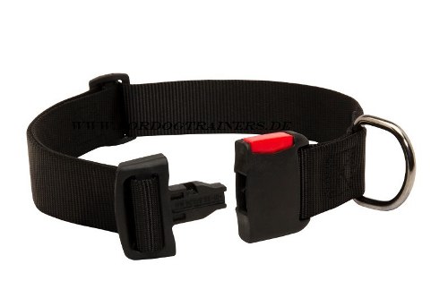 Dog
collar for trainings