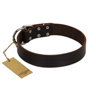 Hundehalsband Leder breit in klassischem Design, modisch