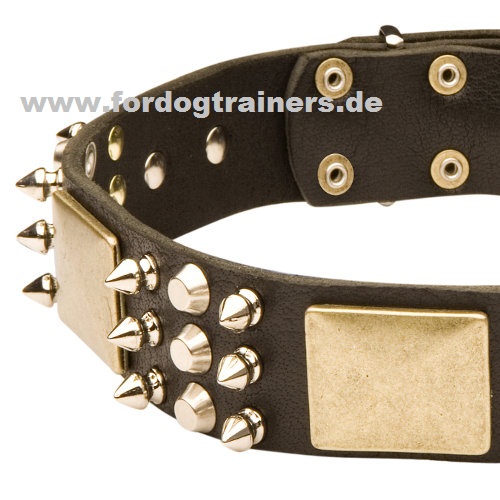  Das beste Hundehalsband