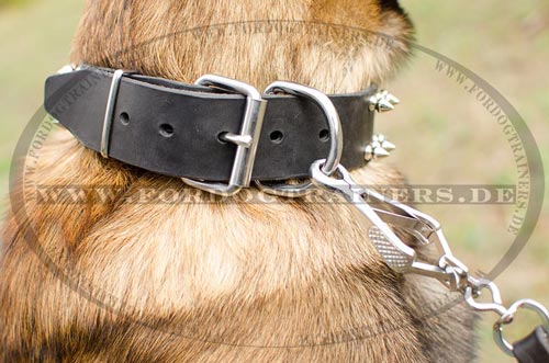 Einzigartiges Halsband Malinois