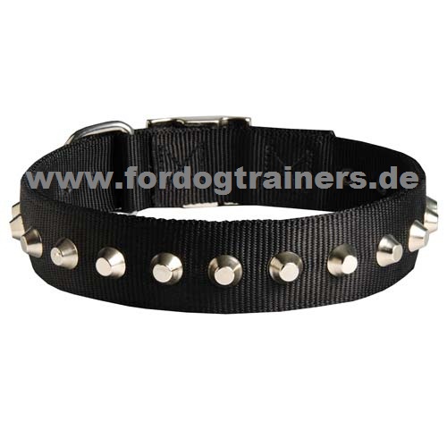 Halsband für jeden Tag