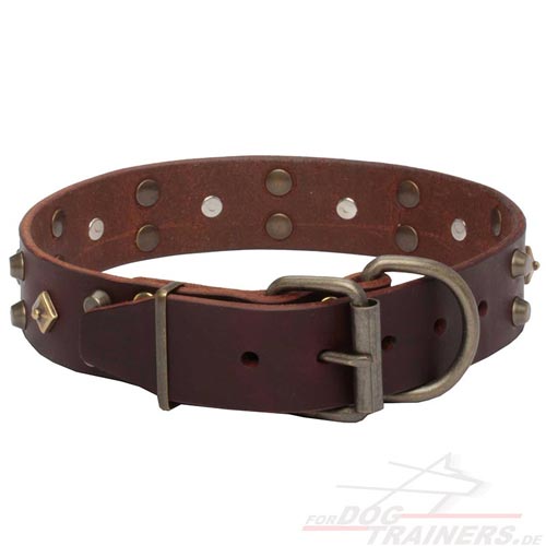 Design Leder Halsband für Deutsche Dogge