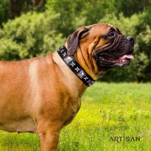 Halsband aus Leder für Bullmastiff