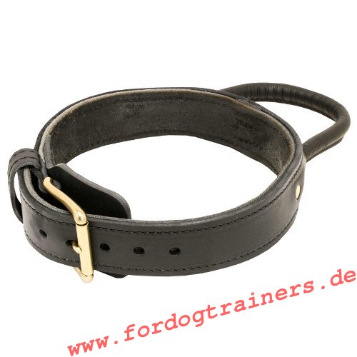 Stafford Halsband kaufen