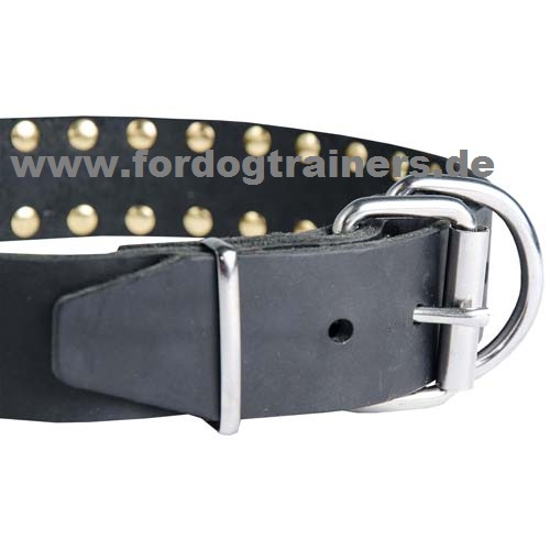 Hundehalsband Amstaff