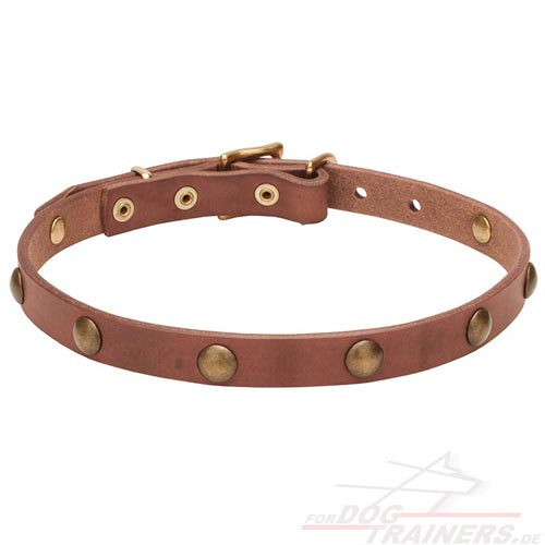 Leather dog collar for different dog ages and breeds