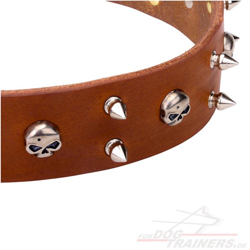 Hundehalsband aus Leder mit vernickelten Spikes und
Schädel