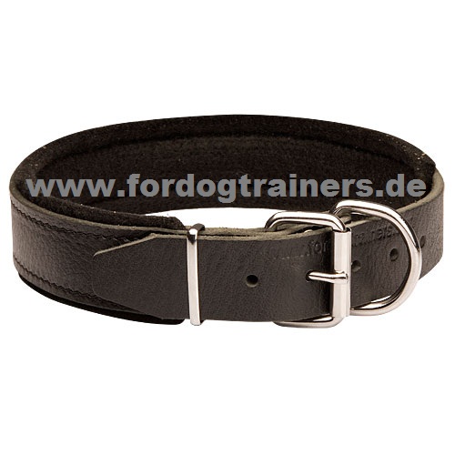 Hundehalsband für Sennenhund