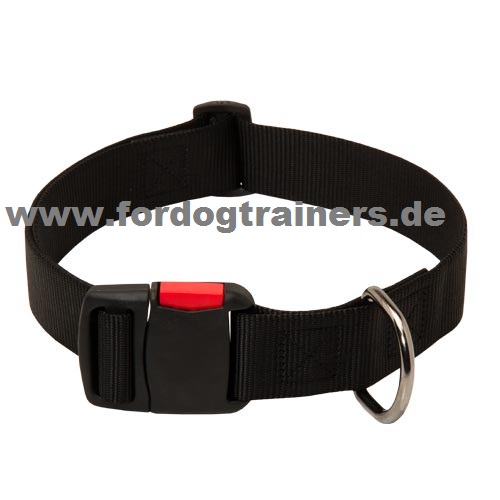 Doberman dog collar for trainings