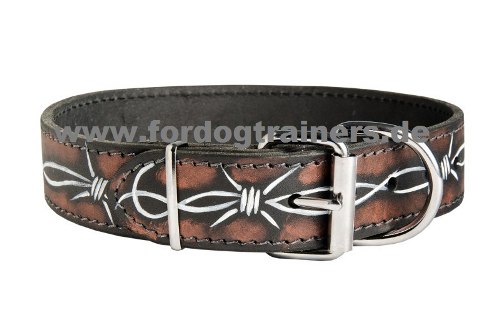 Hand painted dgo collar buy