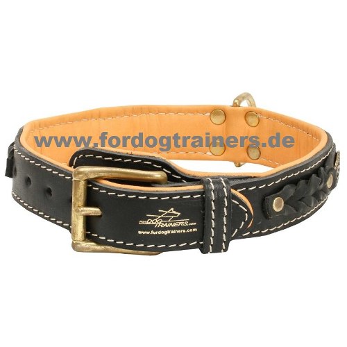 Perculiar dog collar buy