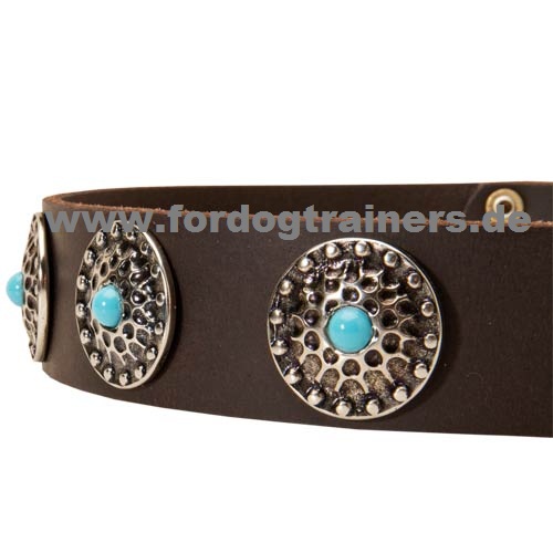 Leather dog collar for Tervuren