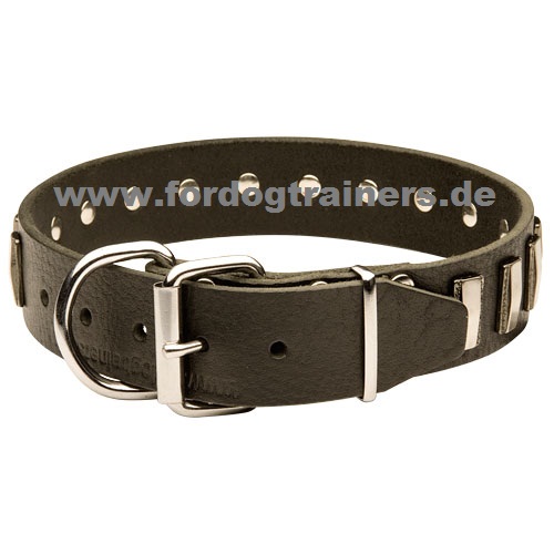 Hundehasband mit Platten