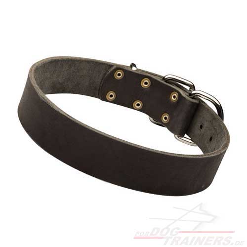budget collar for dogs, low cost leather dog collar