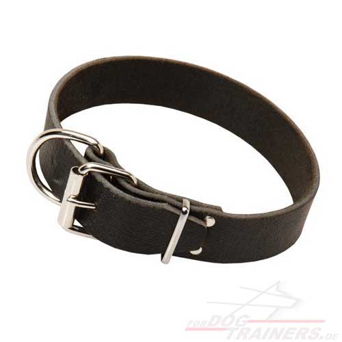 low cost dog collar black with silver fittings