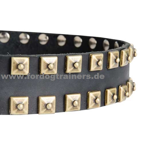  Dog collar with brass studs