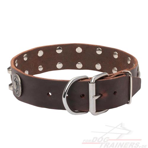 leather dog collar for dog activities