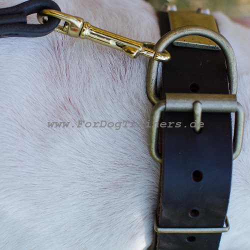 Leder Halsband Hund für Pit Bull