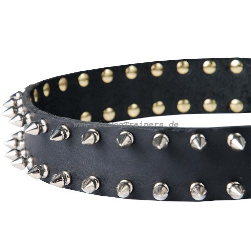 leather collar for dog with shining spikes