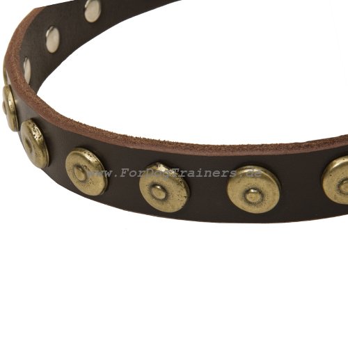 Leder Halsband Hund mit Nieten