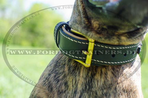 Leather dog collar for German Boxer wide