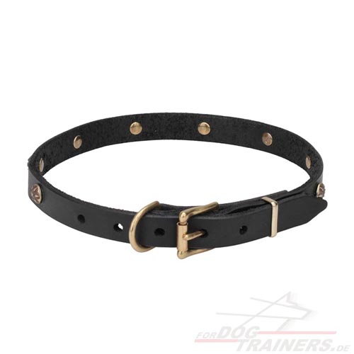 Lederhalsband online kaufen