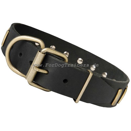 Leder Halsband für Hund mit Zierplatten