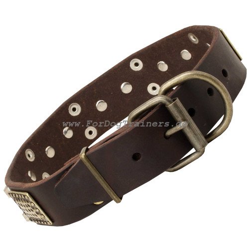 leather collar for dogs decorated