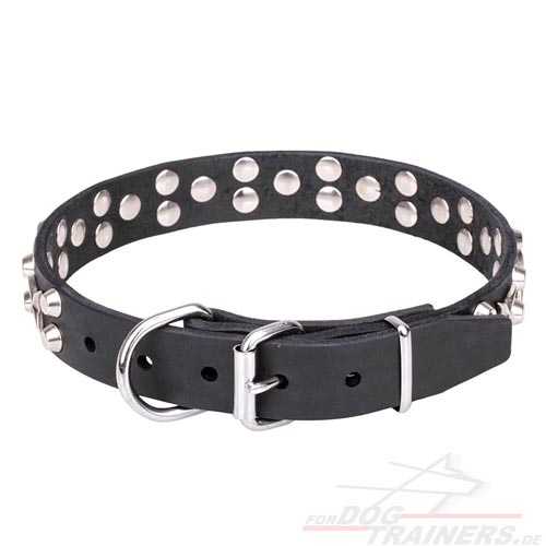 Leder Halsband online kaufen