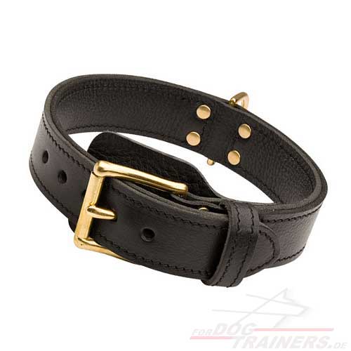 Leder Halsband