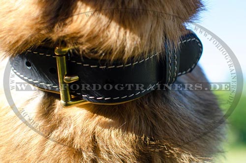 Padded collar for German Shepherd strong