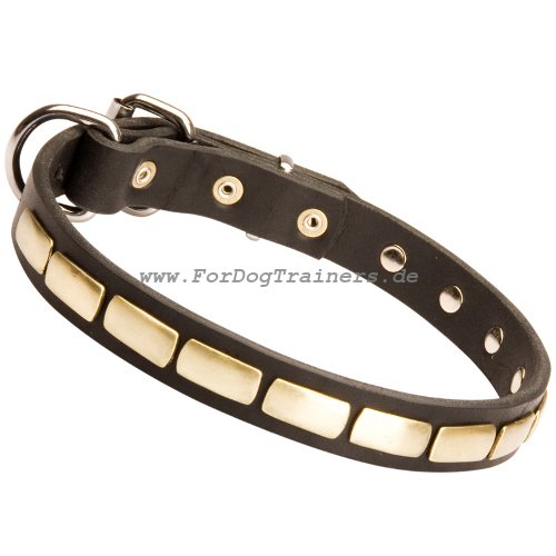 Leder Hundehalsband Nieten 2.5 cm breit