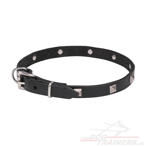  Leder Hundehalsband, originell