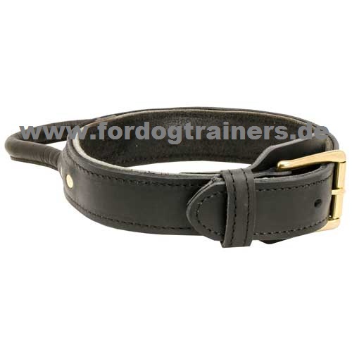 Strong leather collar