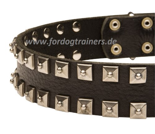 Halsband für Dogge