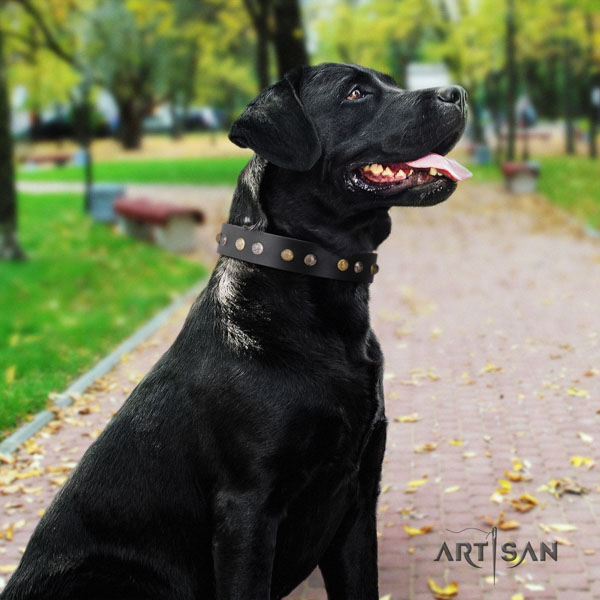 Nieten Halsband aus Leder für Labrador