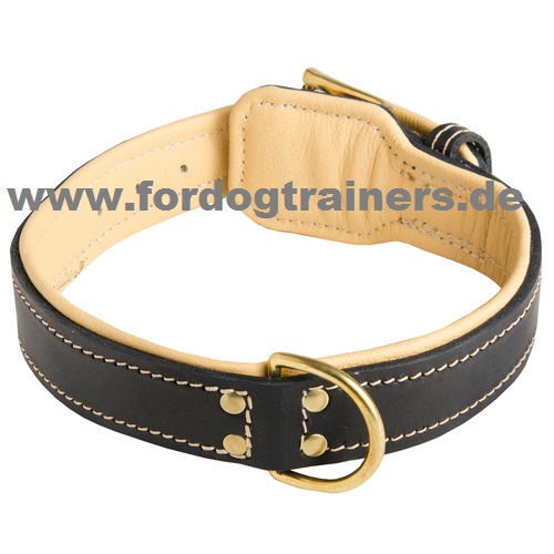 Leder
Halsband doppellagig