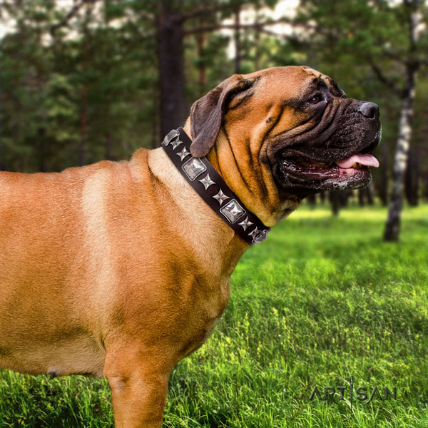 Halsband für Bullmastiff, robust