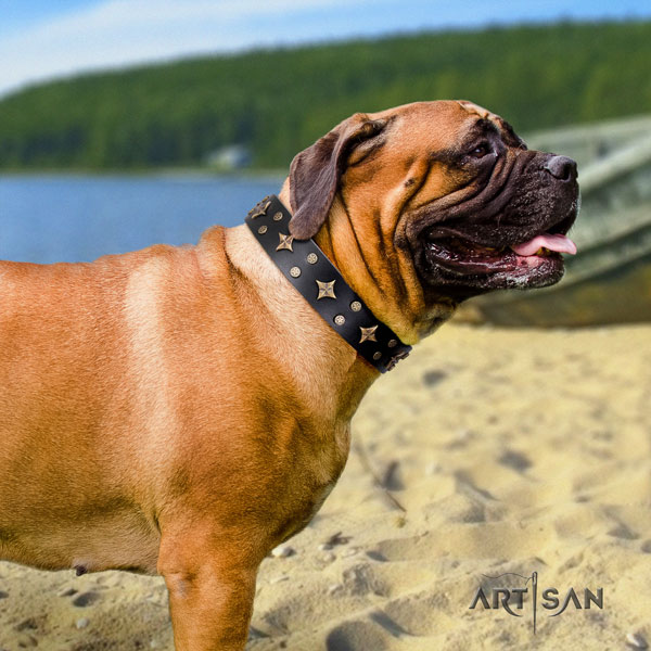 Bullmastiff Lederhalsband mit Schmucken