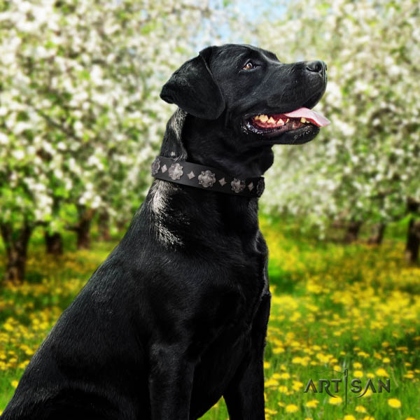 Halsband aus Echtleder für Labrador