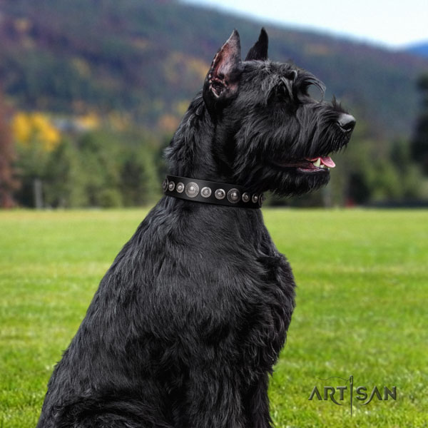 Elegantes Halsband aus Leder für Riesenschnauzer 