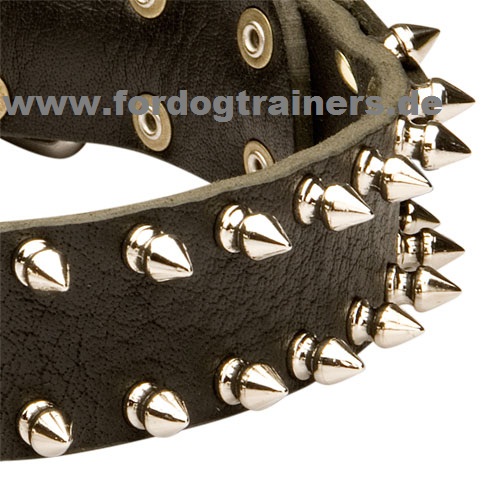 Malinois modernes Lederhalsband