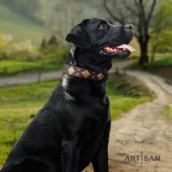 Labrador Halsband aus Leder in braun