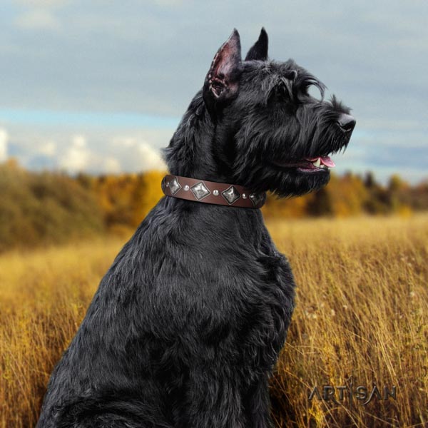 Riesenschnauzer Halsband aus Leder in tan