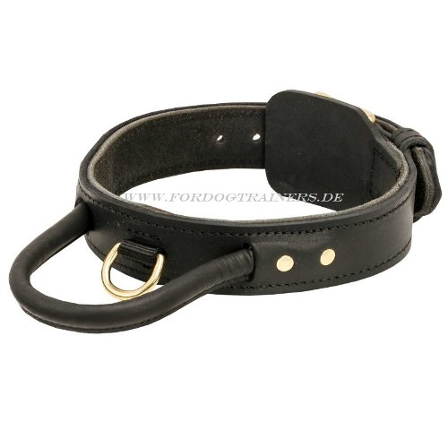 Rottweiler Halsband kaufen