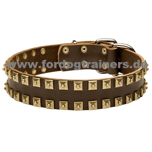 Leather collar with studded design