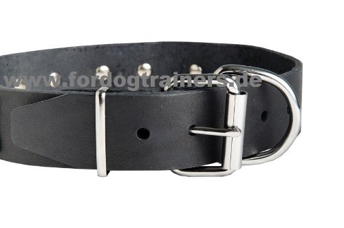 Leather collar for Shar Pei buy