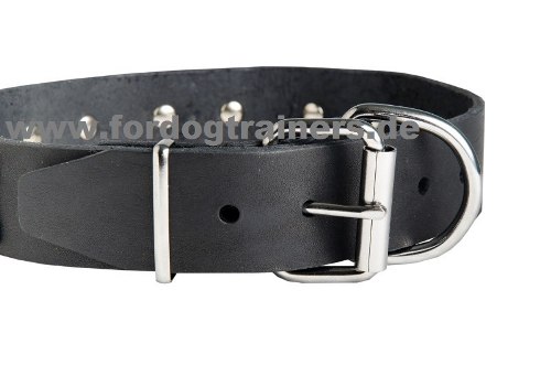 Lederhalsband für Shar Pei kaufen