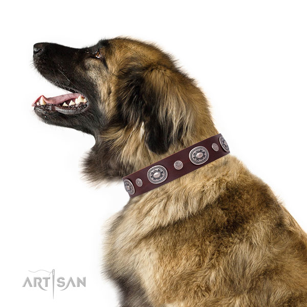 Leonberger Halsband aus Leder